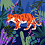 Tiger69